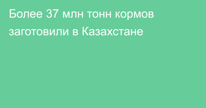 Более 37 млн тонн кормов заготовили в Казахстане
