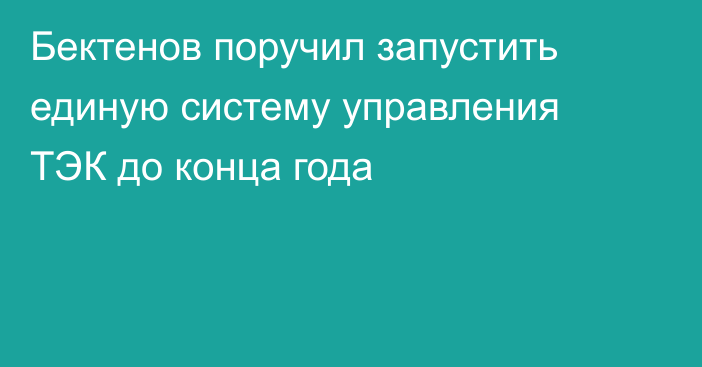 Бектенов поручил запустить единую систему управления ТЭК до конца года