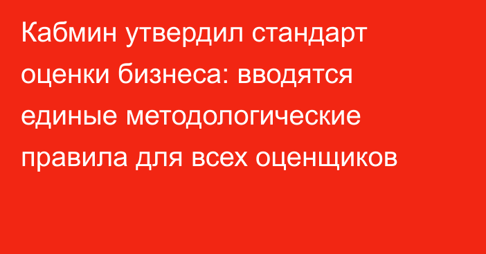 Кабмин утвердил стандарт оценки бизнеса: вводятся единые методологические правила для всех оценщиков