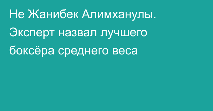 Не Жанибек Алимханулы. Эксперт назвал лучшего боксёра среднего веса