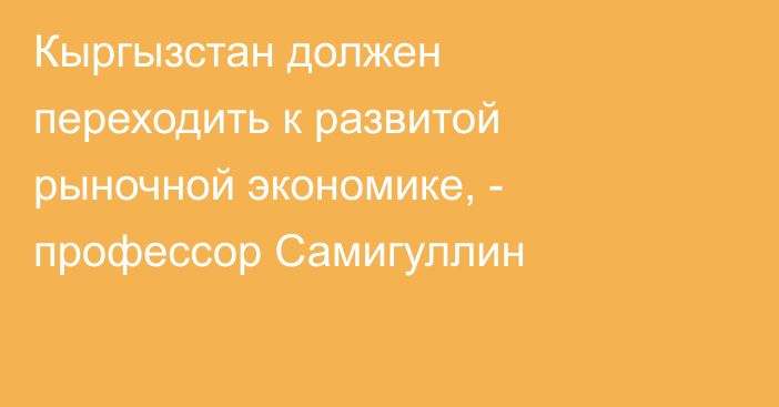 Кыргызстан должен переходить к развитой рыночной экономике, - профессор Самигуллин