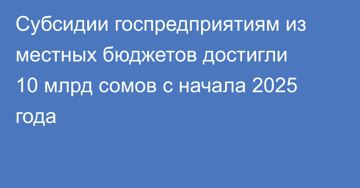 Субсидии госпредприятиям из местных бюджетов достигли 10 млрд сомов с начала 2025 года