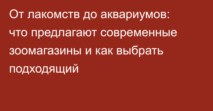 От лакомств до аквариумов: что предлагают современные зоомагазины и как выбрать подходящий