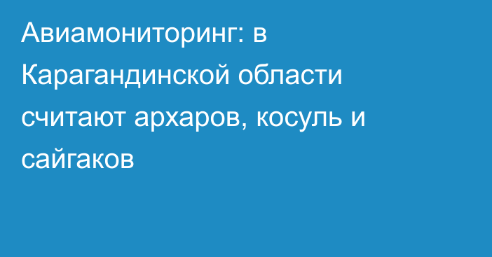 Авиамониторинг: в Карагандинской области считают архаров, косуль и сайгаков