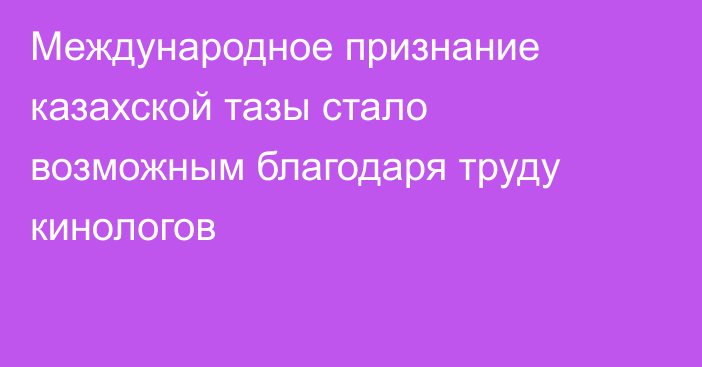 Международное признание казахской тазы стало возможным благодаря труду кинологов