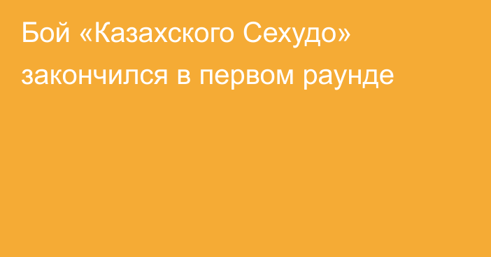 Бой «Казахского Сехудо» закончился в первом раунде