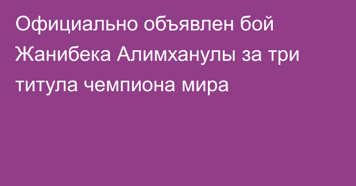 Официально объявлен бой Жанибека Алимханулы за три титула чемпиона мира