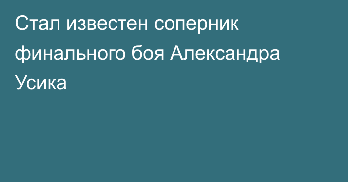 Стал известен соперник финального боя Александра Усика