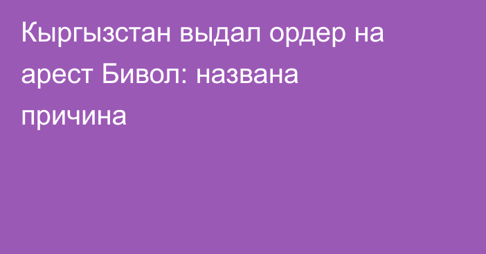 Кыргызстан выдал ордер на арест Бивол: названа причина