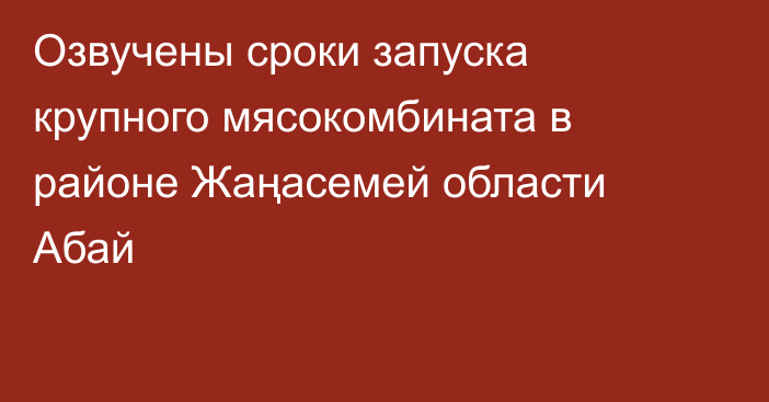 Озвучены сроки запуска крупного мясокомбината в районе Жаңасемей  области Абай
