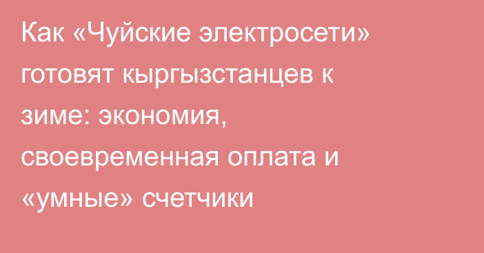 Как «Чуйские электросети» готовят кыргызстанцев к зиме: экономия, своевременная оплата и «умные» счетчики