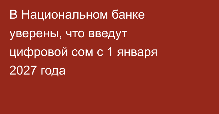 В Национальном банке уверены, что введут цифровой сом с 1 января 2027 года