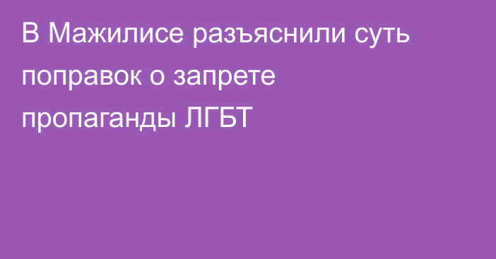 В Мажилисе разъяснили суть поправок о запрете пропаганды ЛГБТ