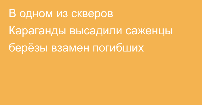 В одном из скверов Караганды высадили саженцы берёзы взамен погибших