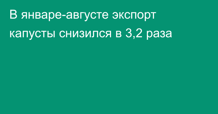 В январе-августе экспорт капусты снизился в 3,2 раза