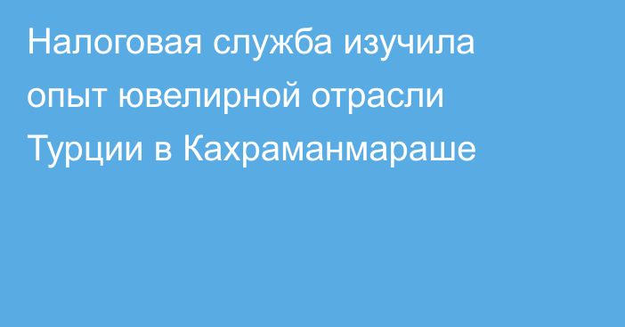 Налоговая служба изучила опыт ювелирной отрасли Турции в Кахраманмараше