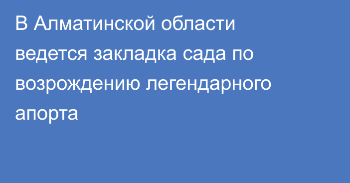 В Алматинской области ведется закладка сада по возрождению легендарного апорта
