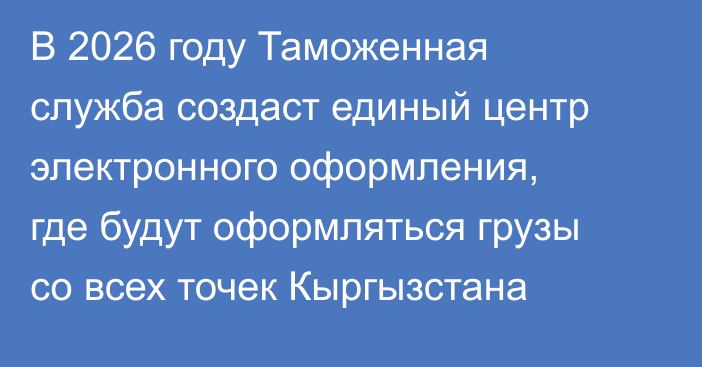 В 2026 году Таможенная служба создаст единый центр электронного оформления, где будут оформляться грузы со всех точек Кыргызстана
