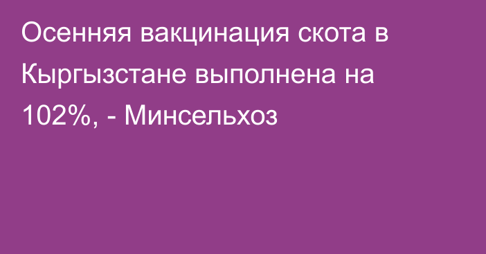 Осенняя вакцинация скота в Кыргызстане выполнена на 102%, - Минсельхоз