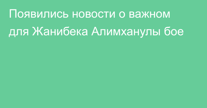 Появились новости о важном для Жанибека Алимханулы бое