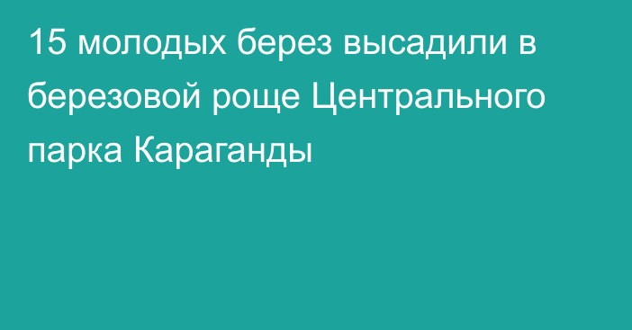 15 молодых берез высадили в березовой роще Центрального парка Караганды