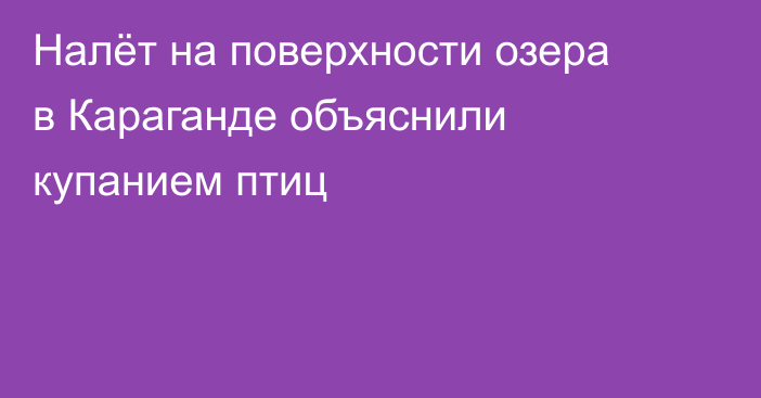 Налёт на поверхности озера в Караганде объяснили купанием птиц