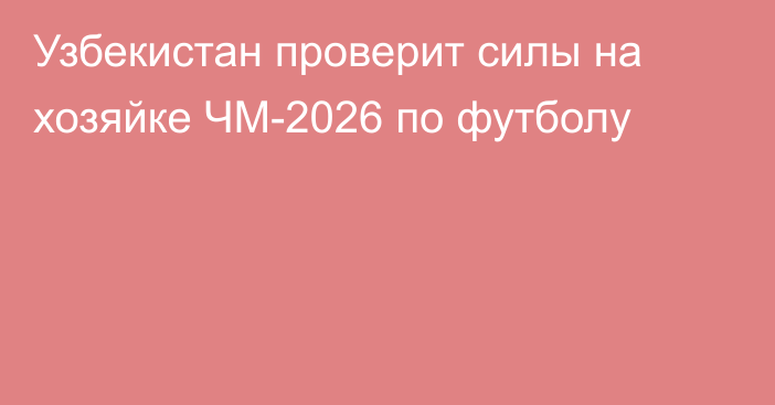 Узбекистан проверит силы на хозяйке ЧМ-2026 по футболу
