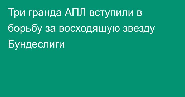 Три гранда АПЛ вступили в борьбу за восходящую звезду Бундеслиги