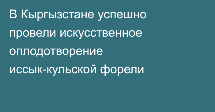 В Кыргызстане успешно провели искусственное оплодотворение иссык-кульской форели