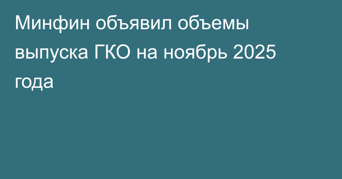 Минфин объявил объемы выпуска ГКО на ноябрь 2025 года