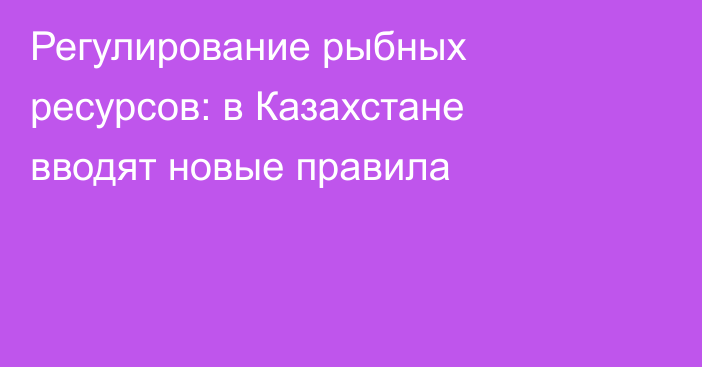 Регулирование рыбных ресурсов: в Казахстане вводят новые правила