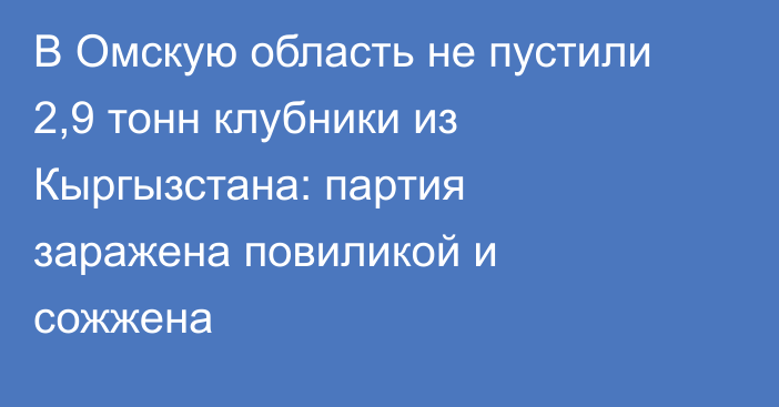 В Омскую область не пустили 2,9 тонн клубники из Кыргызстана: партия заражена повиликой и сожжена