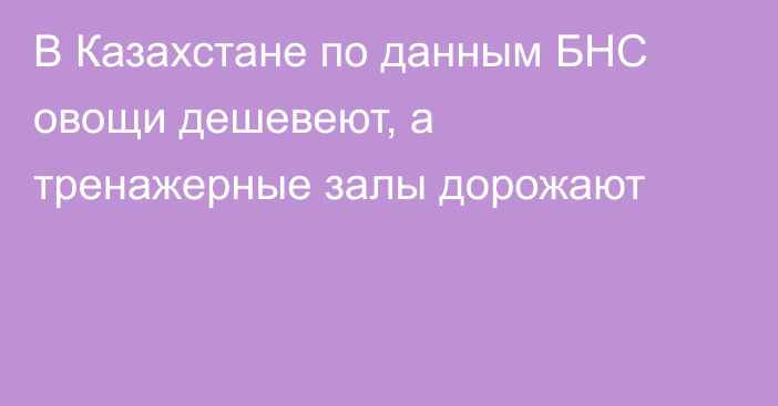 В Казахстане по данным БНС овощи дешевеют, а тренажерные залы дорожают