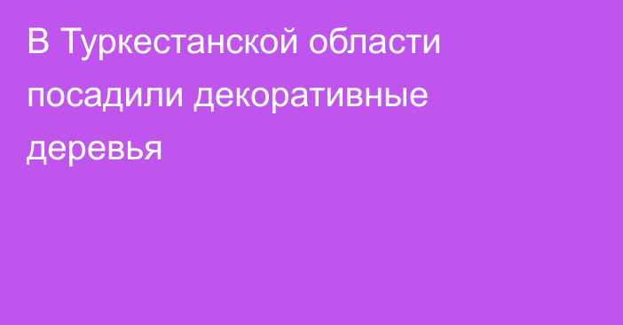 В Туркестанской области посадили декоративные деревья
