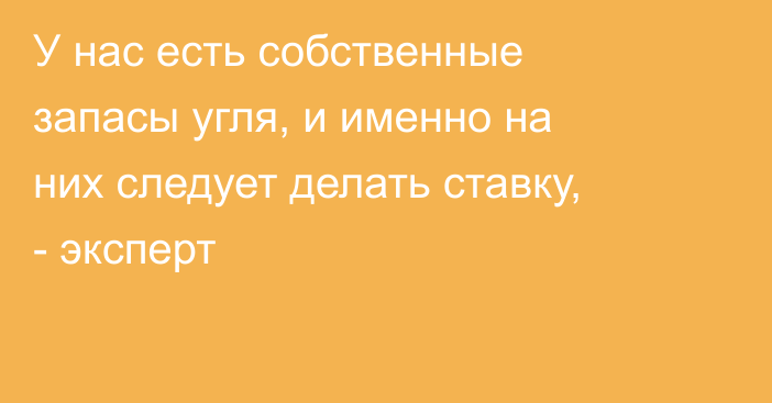 У нас есть собственные запасы угля, и именно на них следует делать ставку, - эксперт
