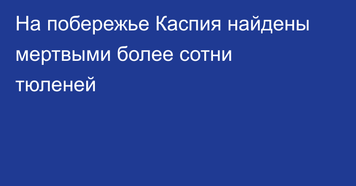 На побережье Каспия найдены мертвыми более сотни тюленей