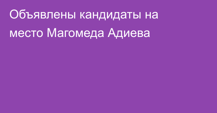 Объявлены кандидаты на место Магомеда Адиева