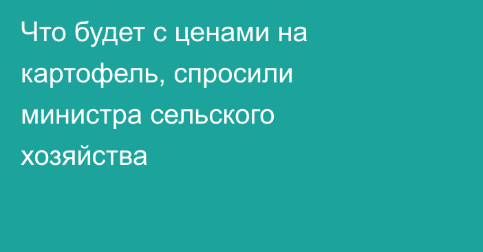 Что будет с ценами на картофель, спросили министра сельского хозяйства