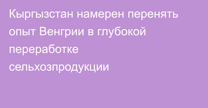 Кыргызстан намерен перенять опыт Венгрии в глубокой переработке сельхозпродукции