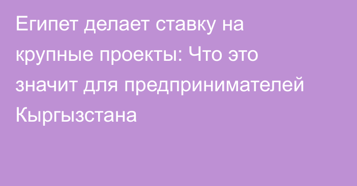 Египет делает ставку на крупные проекты: Что это значит для предпринимателей Кыргызстана