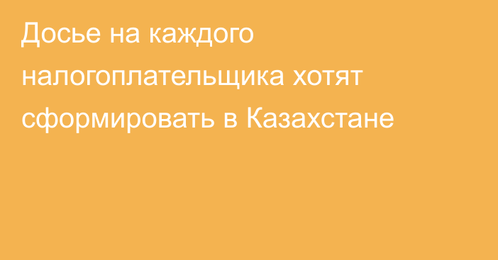 Досье на каждого налогоплательщика хотят сформировать в Казахстане