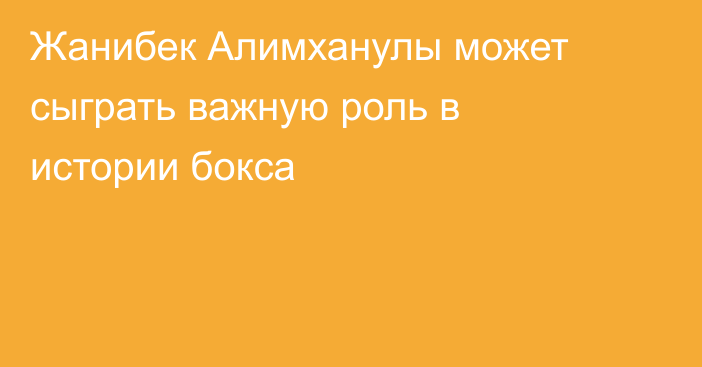 Жанибек Алимханулы может сыграть важную роль в истории бокса
