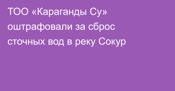 ТОО «Караганды Су» оштрафовали за сброс сточных вод в реку Сокур