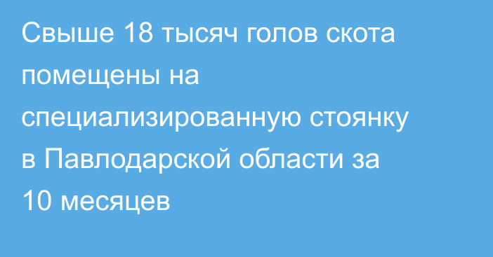 Свыше 18 тысяч голов скота помещены на специализированную стоянку в Павлодарской области за 10 месяцев