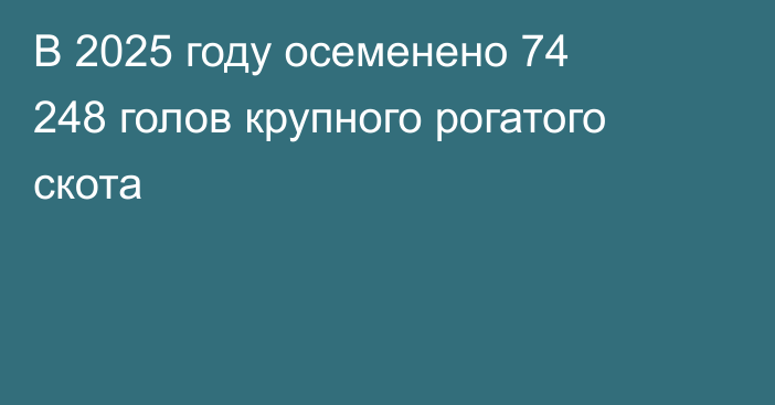 В 2025 году осеменено 74 248 голов крупного рогатого скота