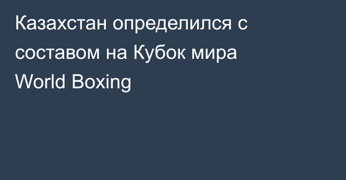 Казахстан определился с составом на Кубок мира World Boxing