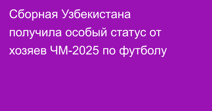 Сборная Узбекистана получила особый статус от хозяев ЧМ-2025 по футболу