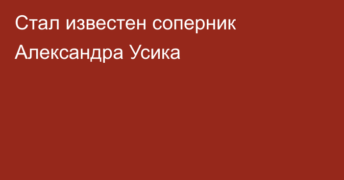 Стал известен соперник Александра Усика