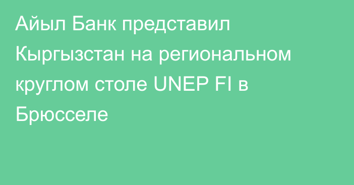 Айыл Банк представил Кыргызстан на региональном круглом столе UNEP FI в Брюсселе