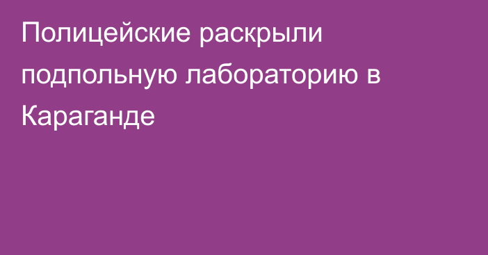 Полицейские раскрыли подпольную лабораторию в Караганде